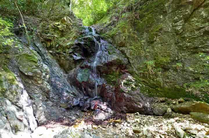 ����E���ʂ��